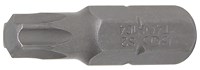 Bit - Außensechskant 8 mm (5/16") - T-Profil (für Torx) T40